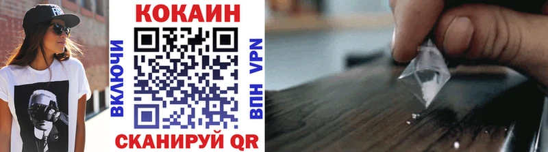 COCAIN Fish Scale  как найти закладки  кракен ссылки  Терек 