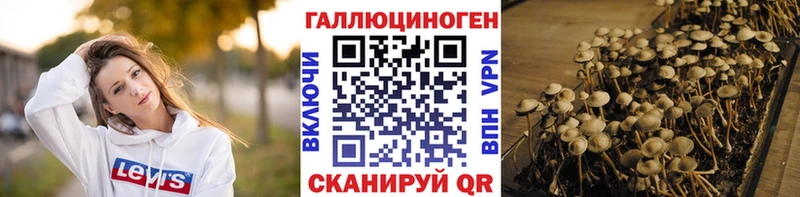 Галлюциногенные грибы Cubensis  наркота  Терек 